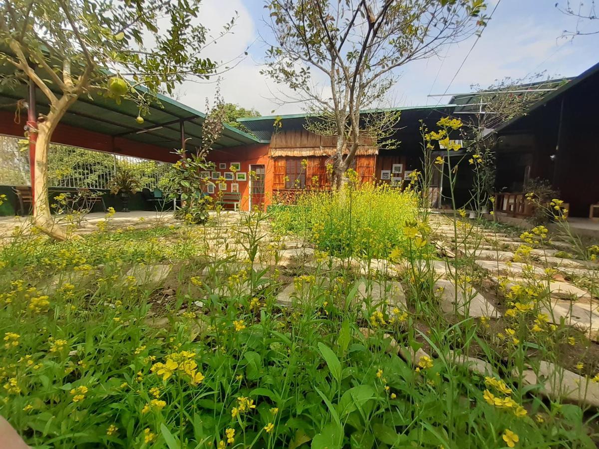 Homestay Lan Rung Nghia Lo Esterno foto