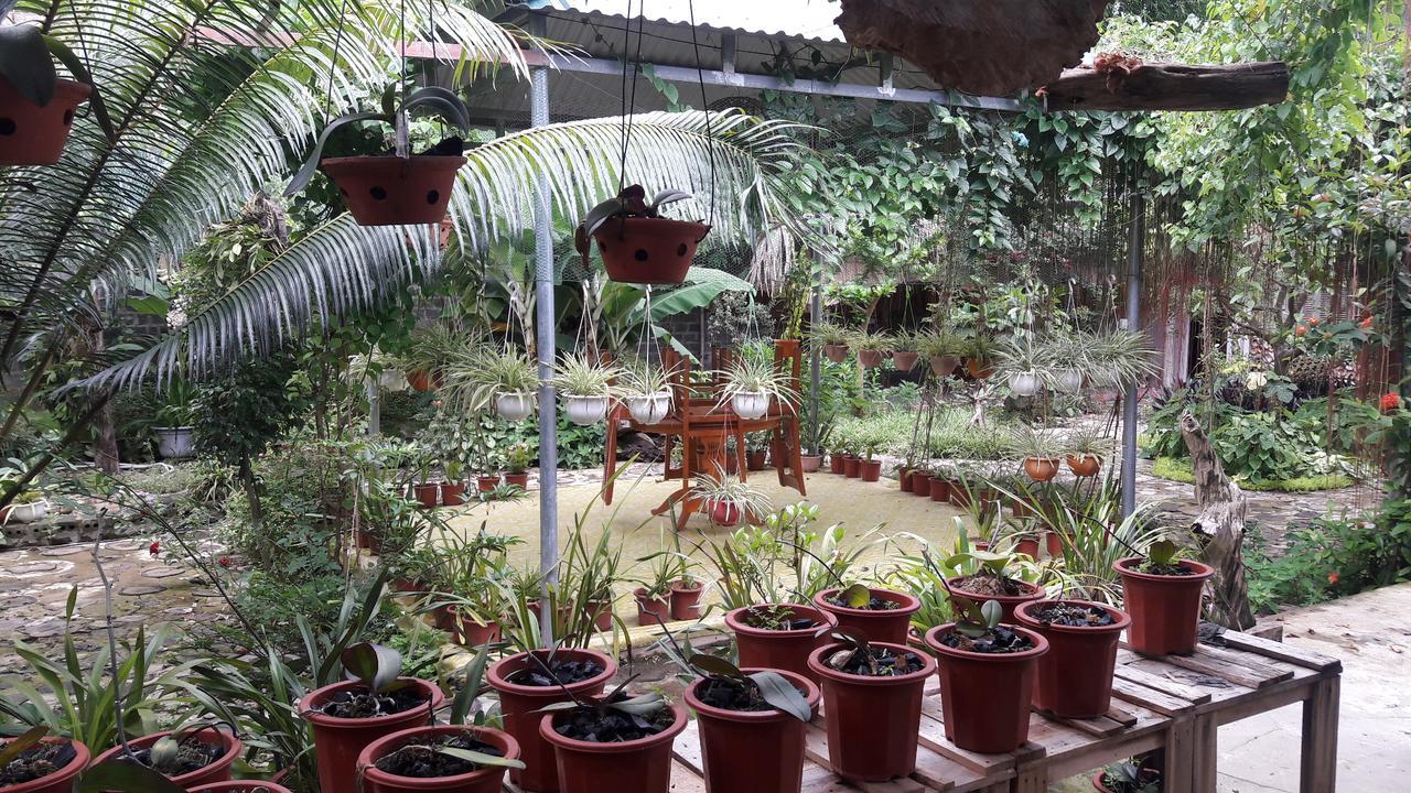 Homestay Lan Rung Nghia Lo Esterno foto