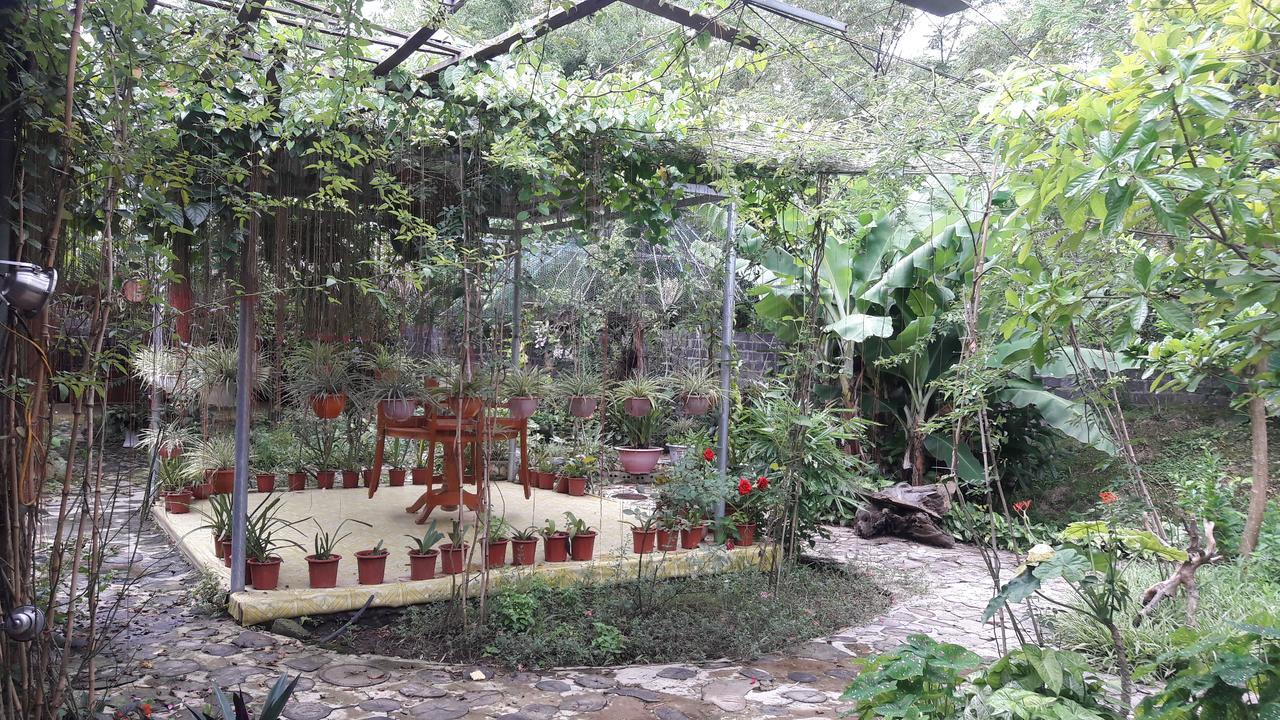 Homestay Lan Rung Nghia Lo Esterno foto