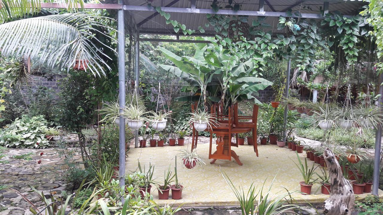 Homestay Lan Rung Nghia Lo Esterno foto
