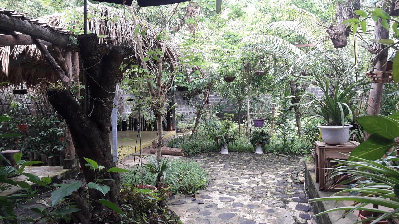 Homestay Lan Rung Nghia Lo Esterno foto